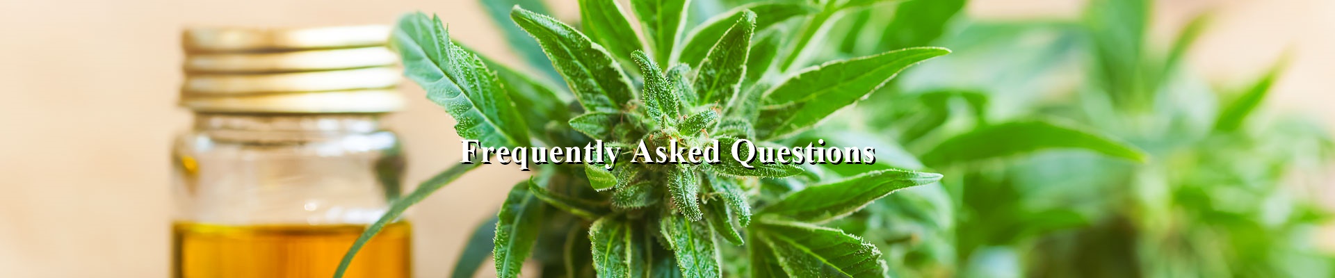 Frequently Asked Questions Banner